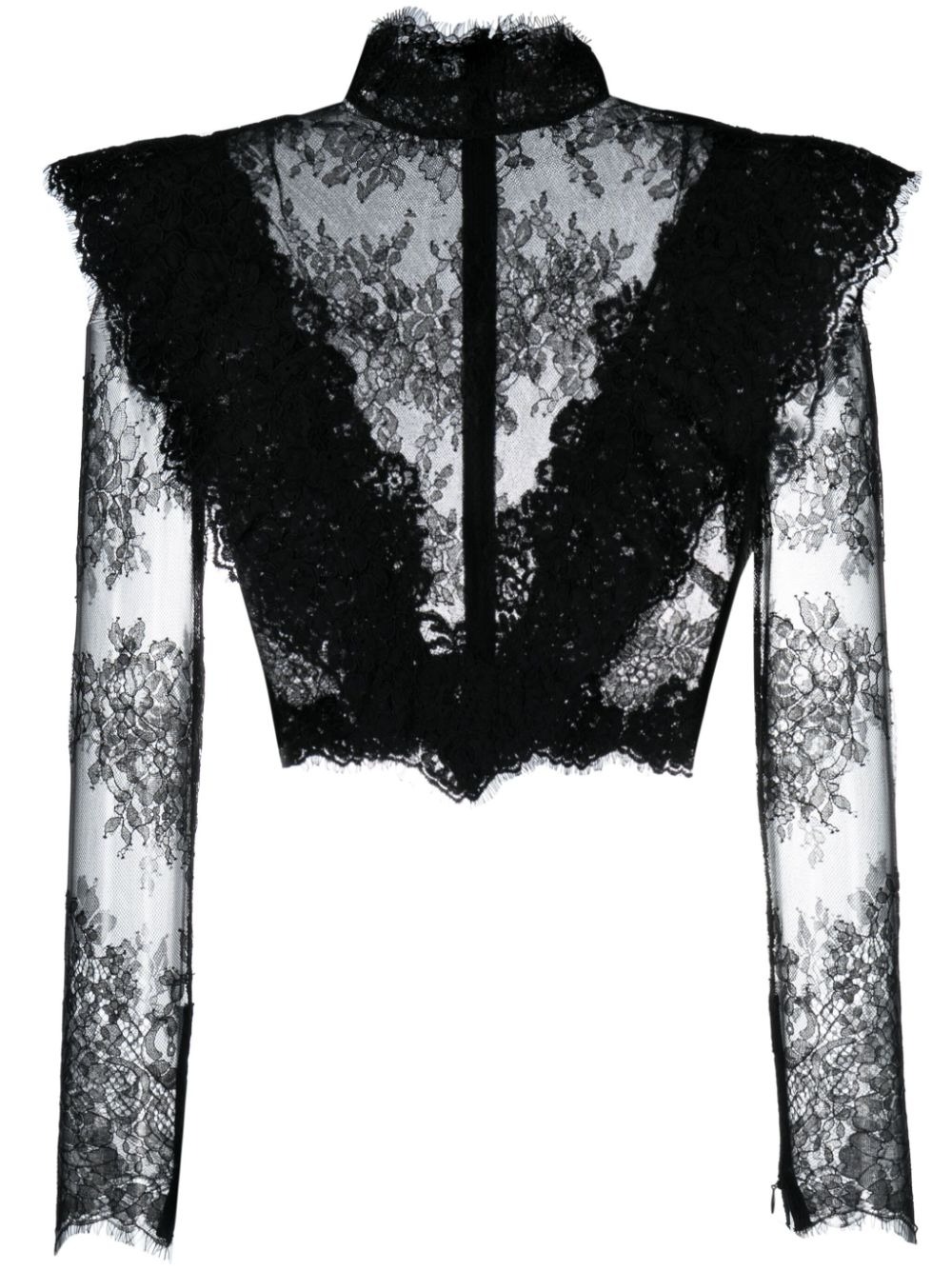 Luminosity lace bodysuit in black - Zimmermann