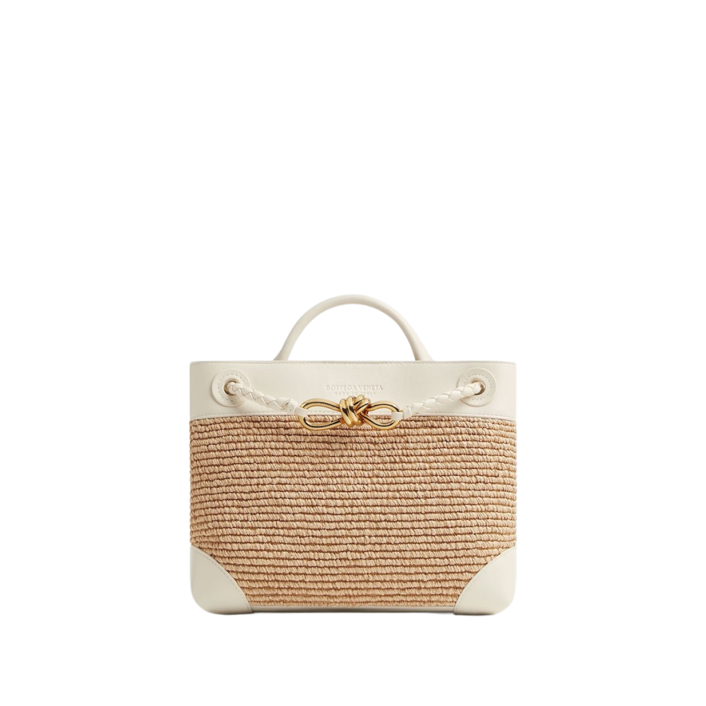 Bottega Veneta - Small Andiamo
