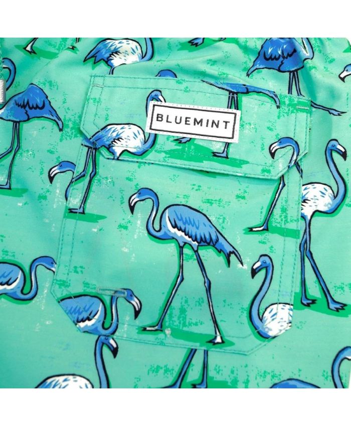 Bluemint Kids - Arthus boy kids swim shorts cascade flamingo