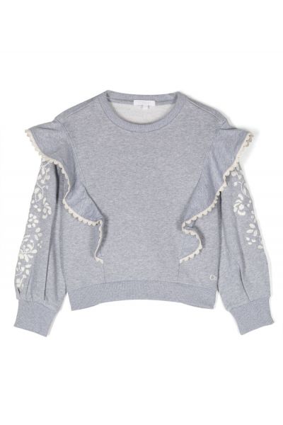 ruffle-detail floral-embroidery sweatshirt