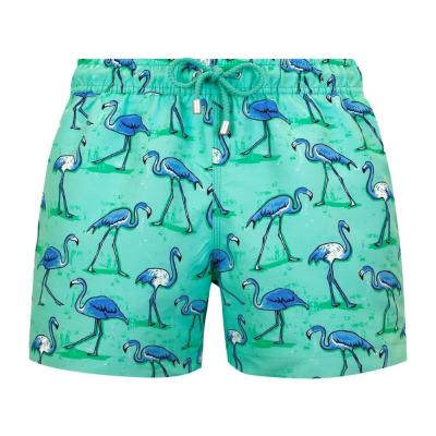 Arthus boy kids swim shorts cascade flamingo